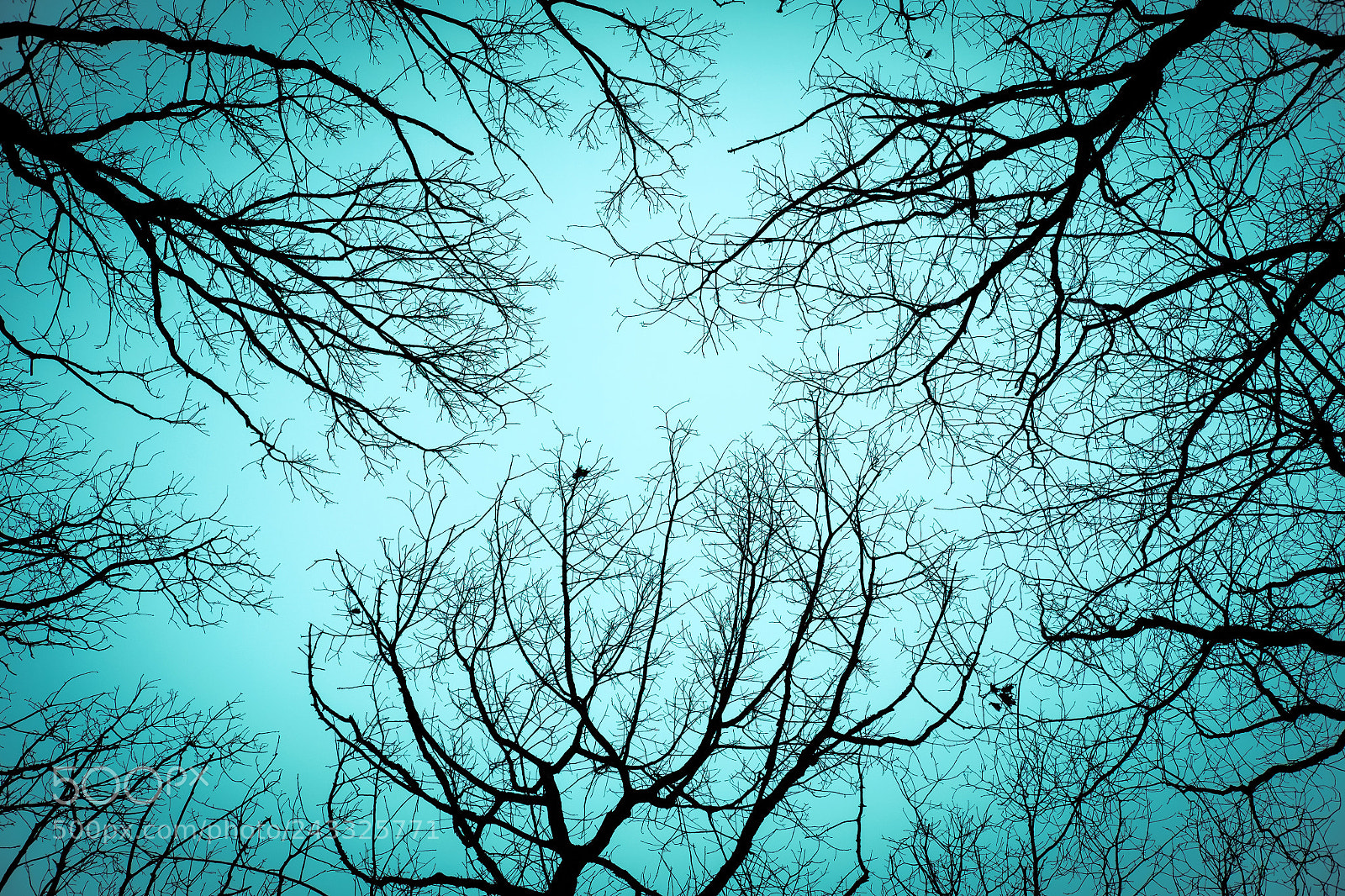 Fujifilm X-E2 sample photo. Brainworkxxl photography