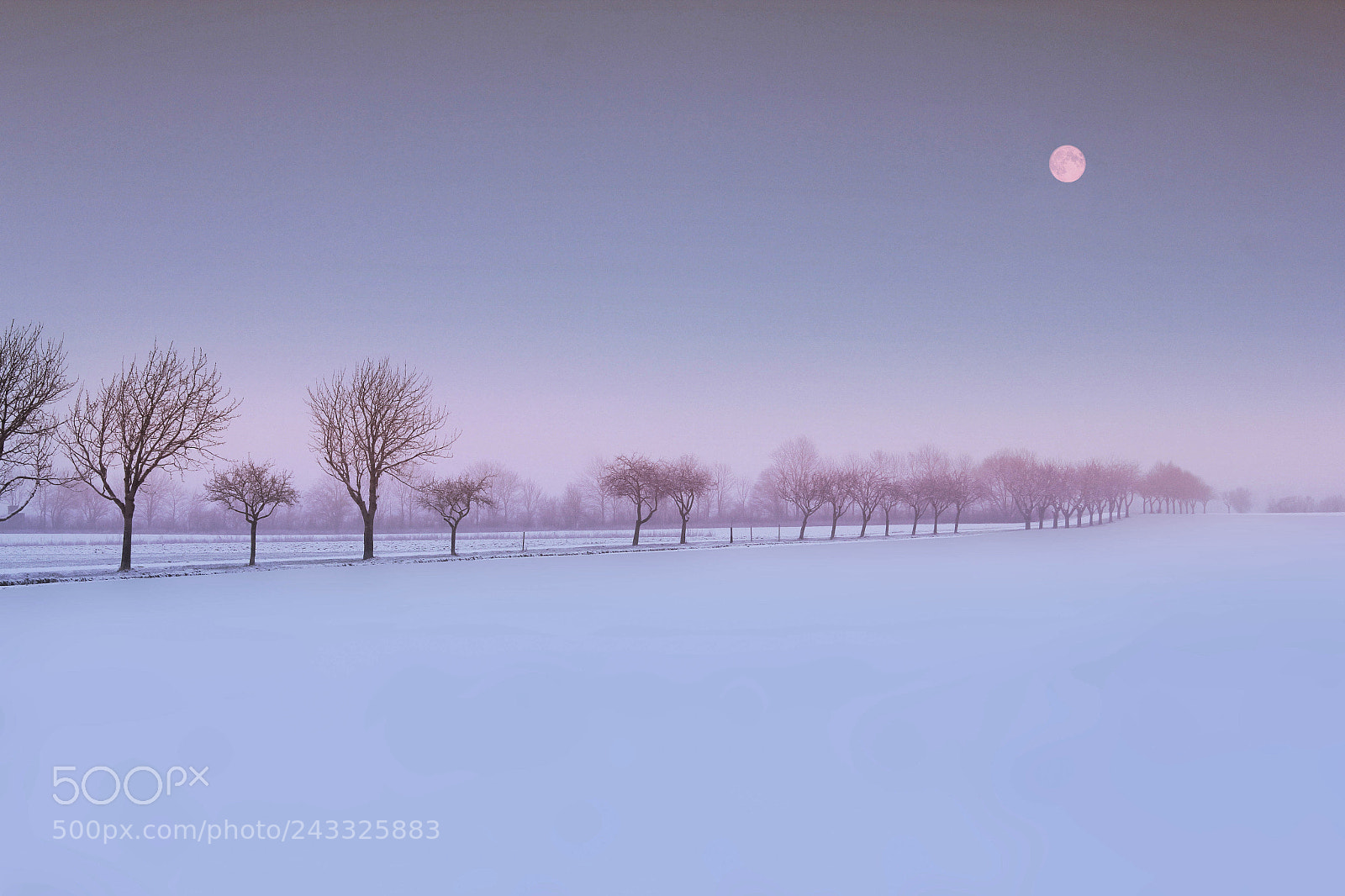 Canon EOS 550D (EOS Rebel T2i / EOS Kiss X4) sample photo. Roter mond photography
