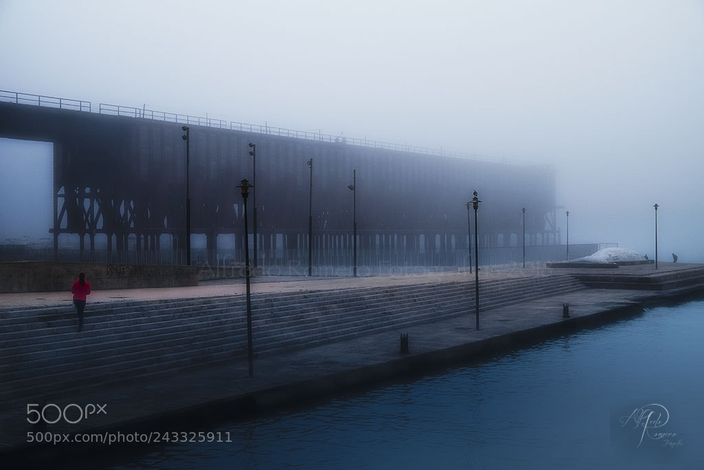 Fujifilm X-T10 sample photo. Nos sorprendio la niebla photography
