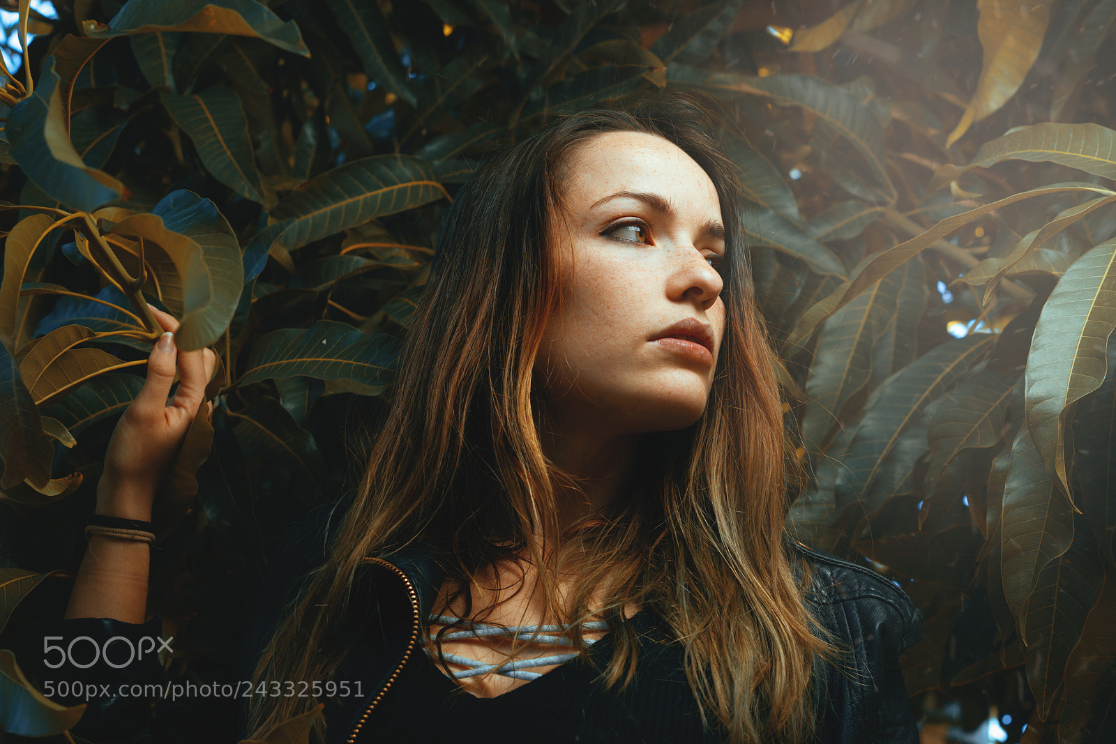Sony a7R II sample photo. Nature. photography