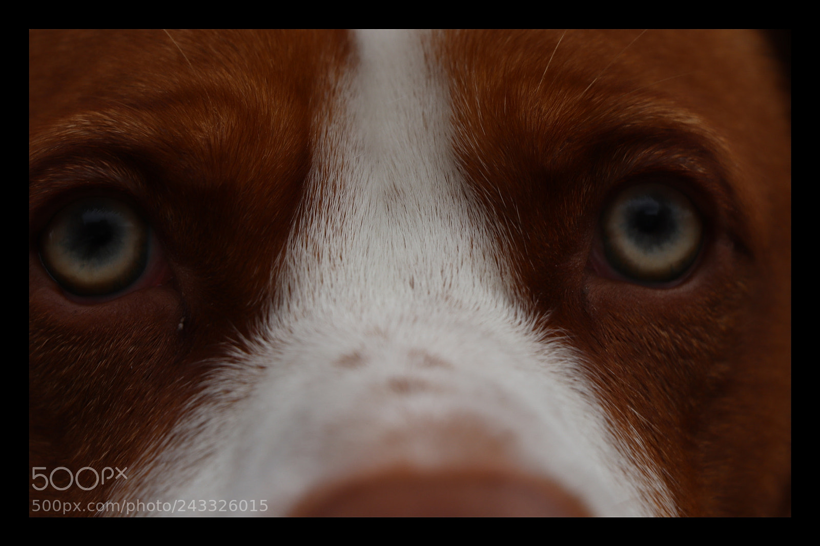 Canon EOS 77D (EOS 9000D / EOS 770D) sample photo. Untitled photography