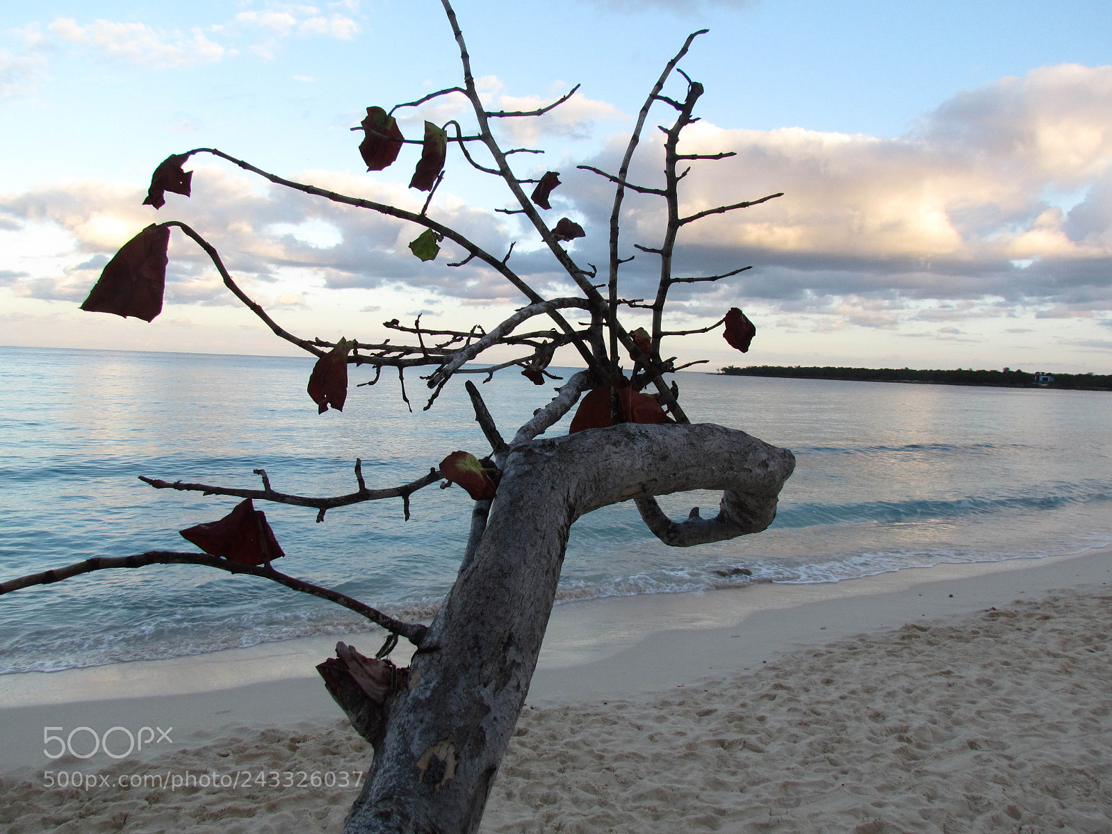 Canon PowerShot SX30 IS sample photo. Cuba : morning beach photography