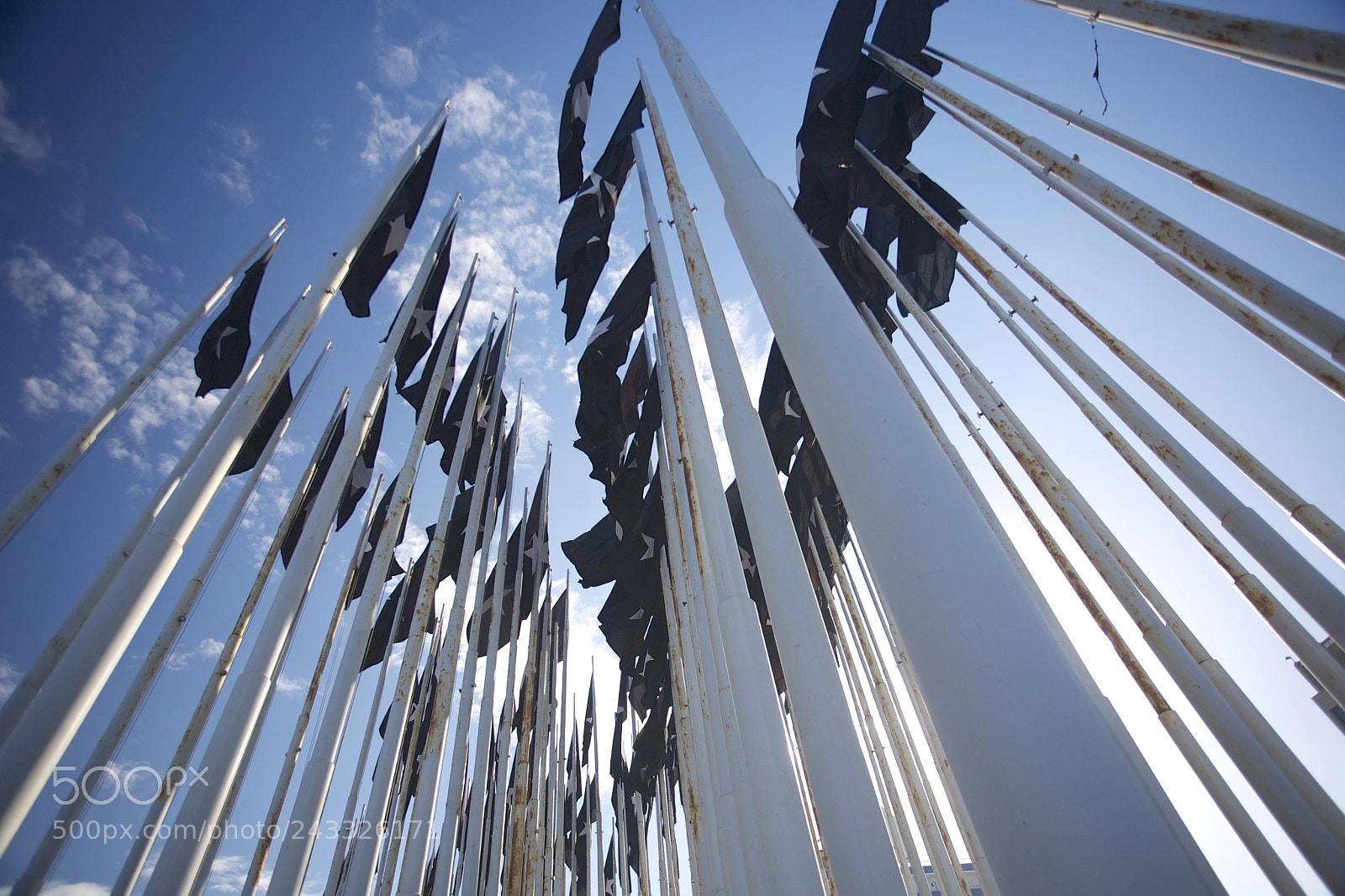 Canon EOS 5D sample photo. The mount of flags photography