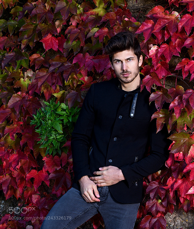 Nikon D810 sample photo. Stefan photography