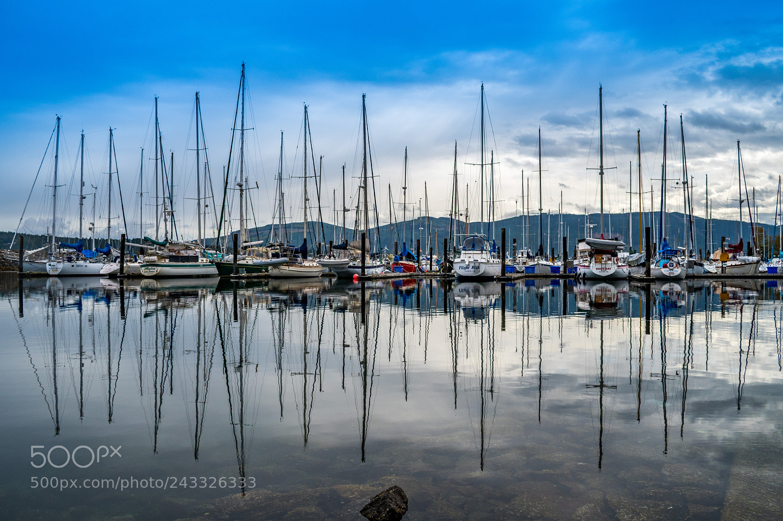 Nikon D7500 sample photo. Reflections photography