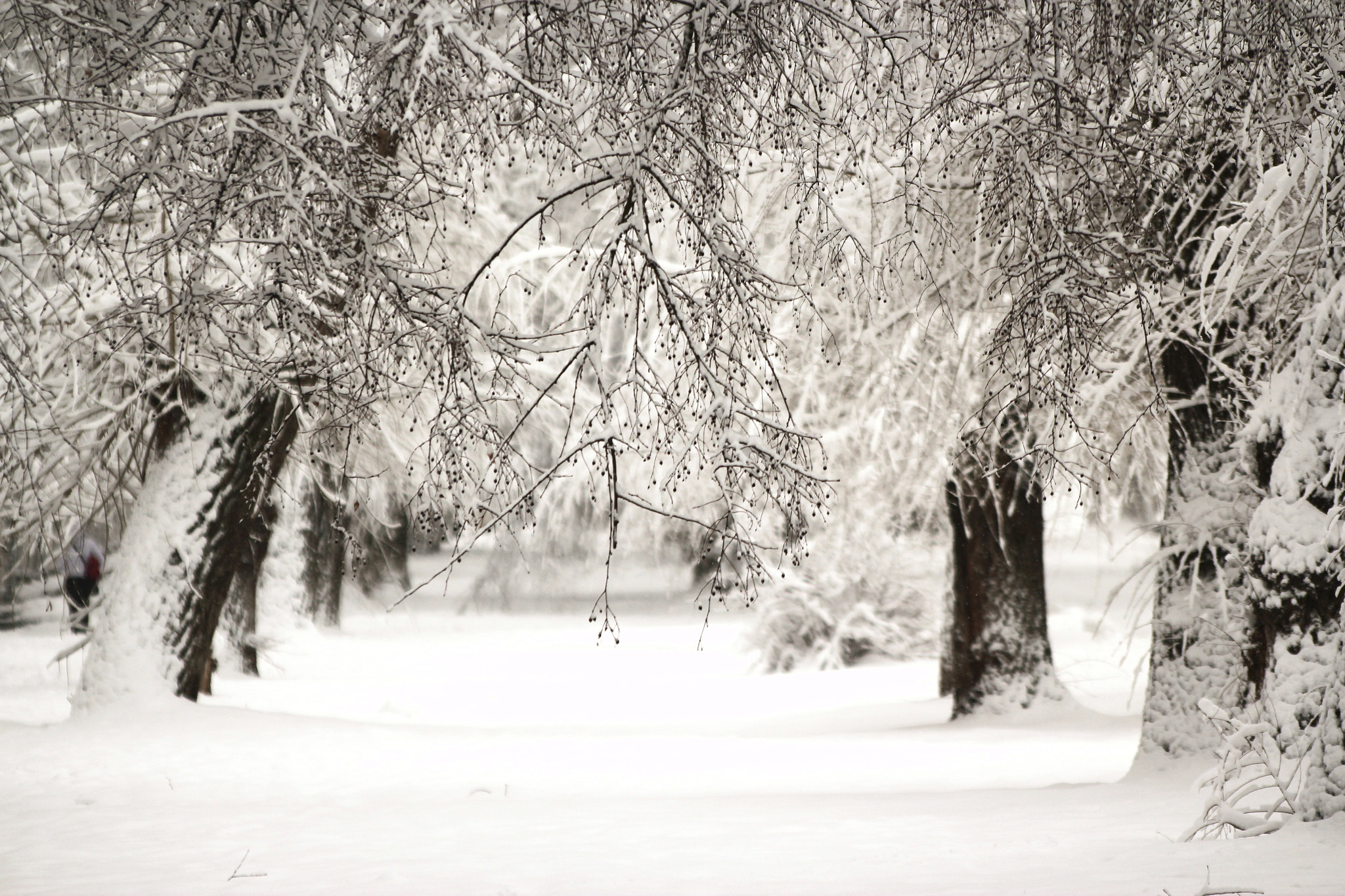 Sigma 70-300mm F4-5.6 APO DG Macro sample photo. Winter perspective photography