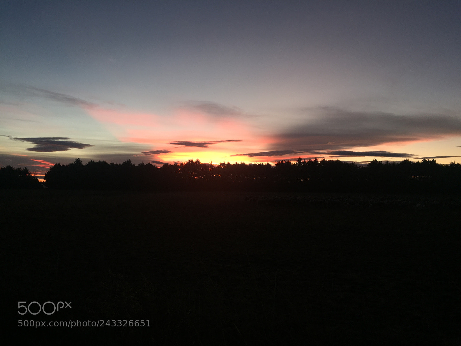 Apple iPhone 6 sample photo. A sunset photography