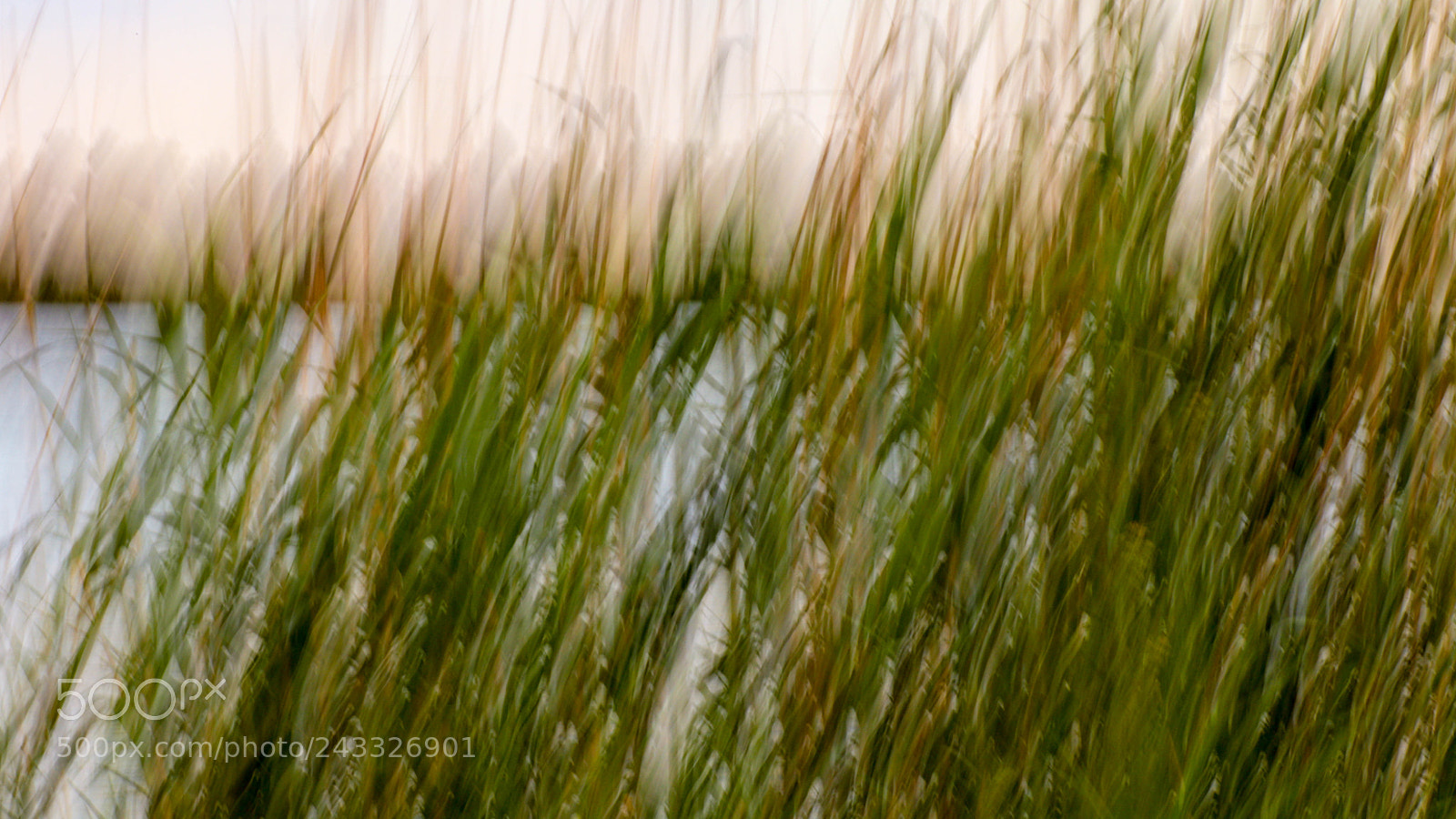 Canon EOS 77D (EOS 9000D / EOS 770D) sample photo. Img photography