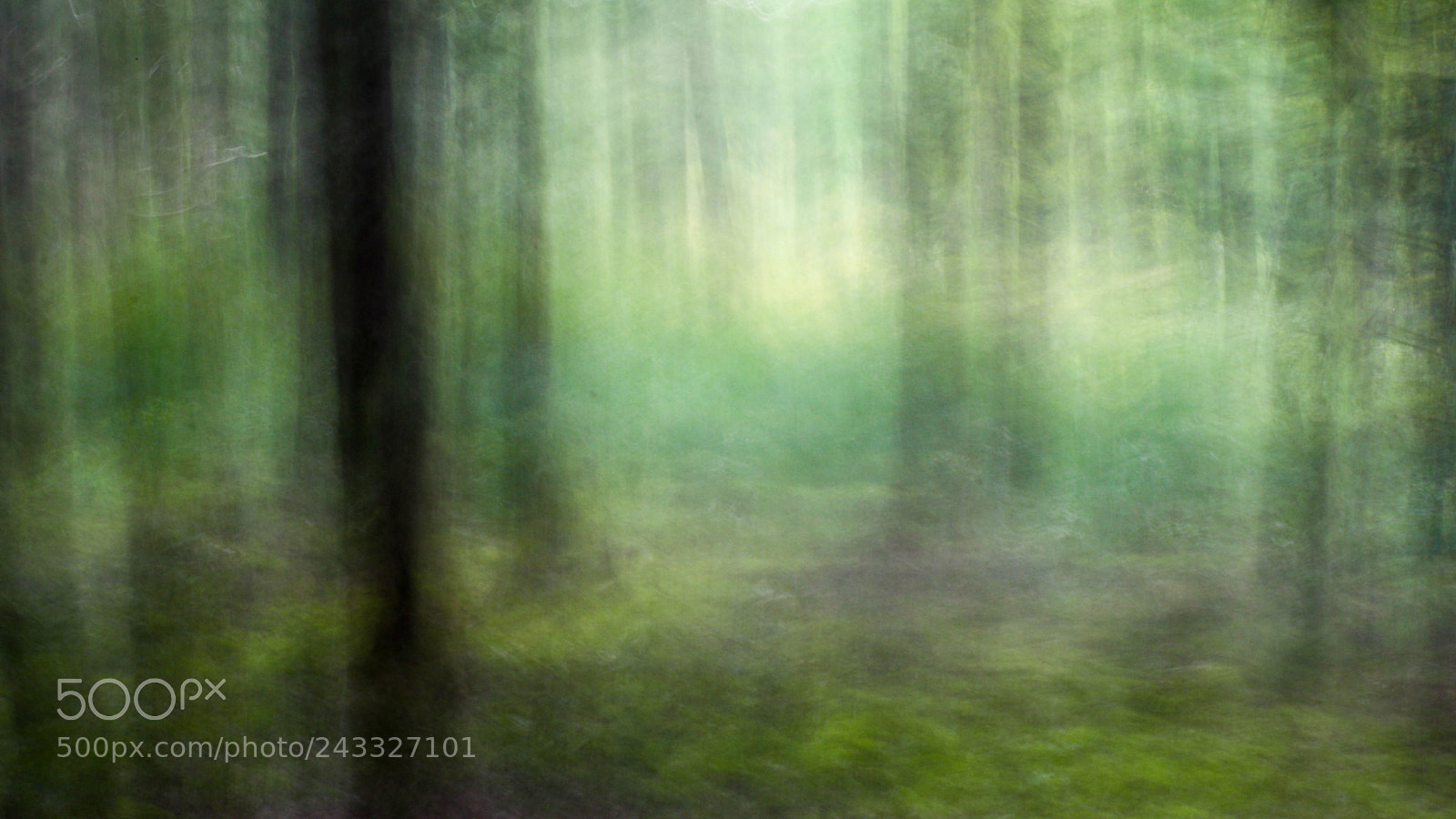 Canon EOS 77D (EOS 9000D / EOS 770D) sample photo. Img photography