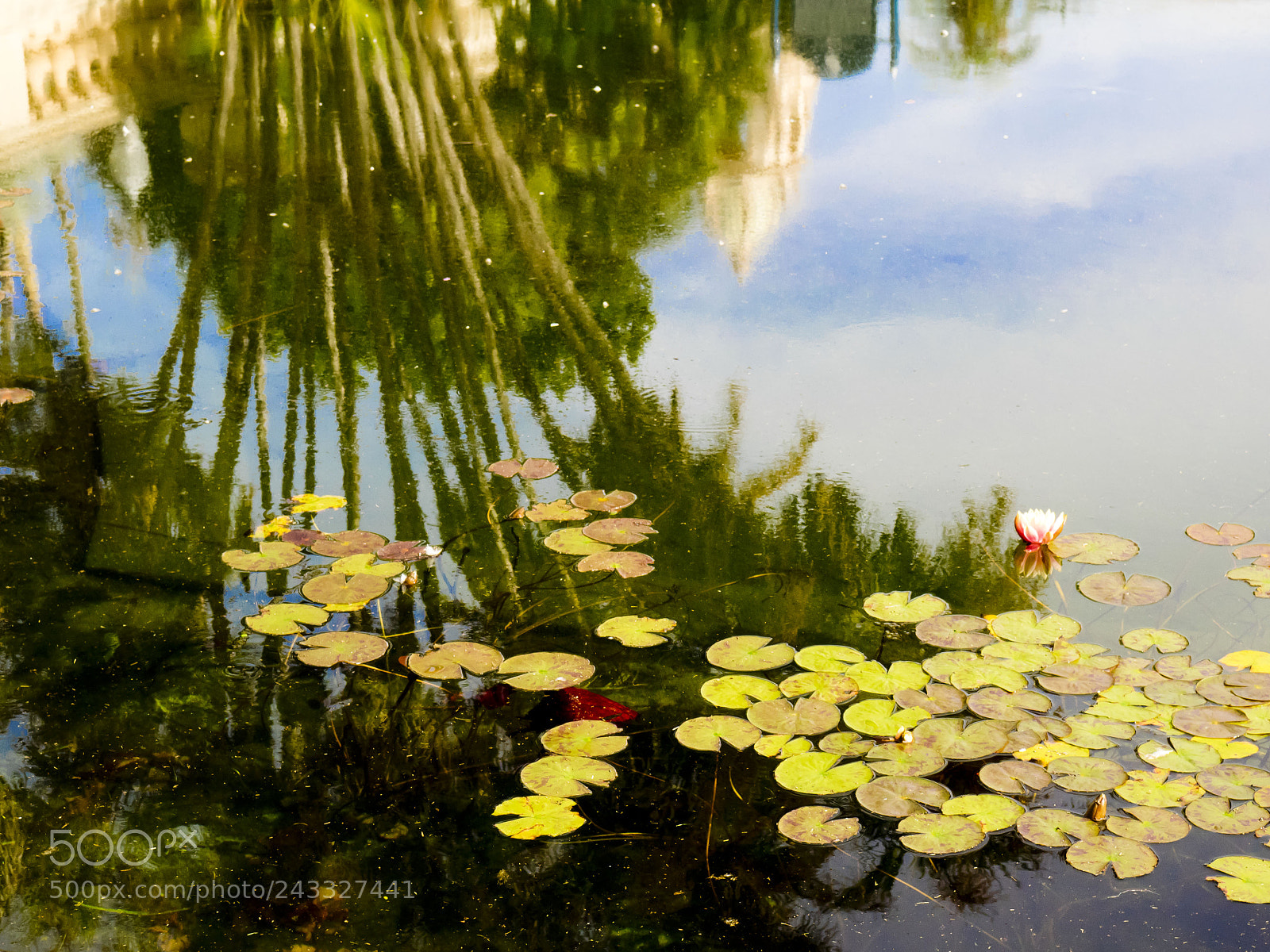 Olympus OM-D E-M1 sample photo. Balboa park, san diego photography