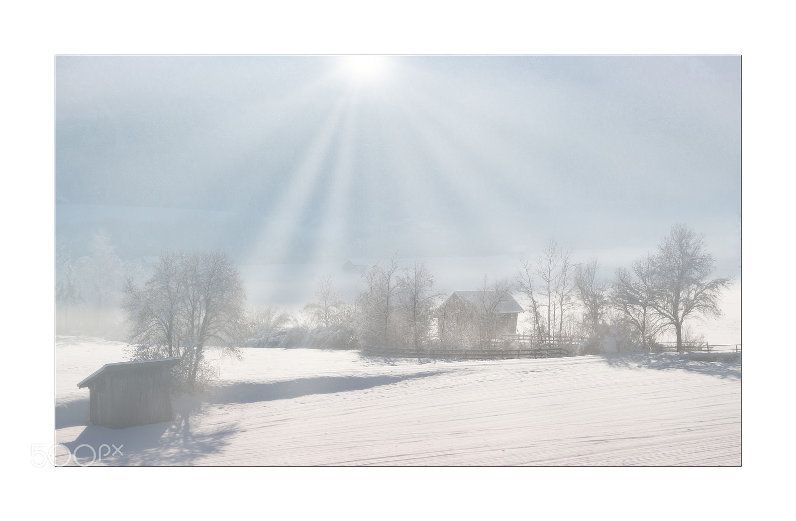 Nikon D850 sample photo. Foggy winter landscape photography
