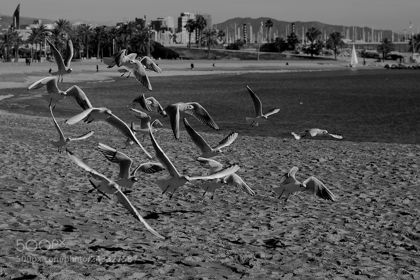 Pentax K-1 sample photo. Hitchcock... photography