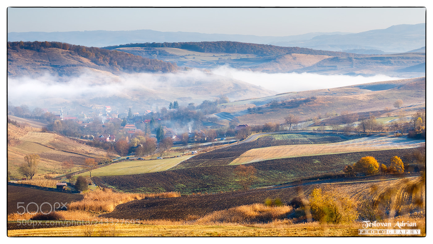 Canon EOS 7D Mark II sample photo. Foggy morning photography