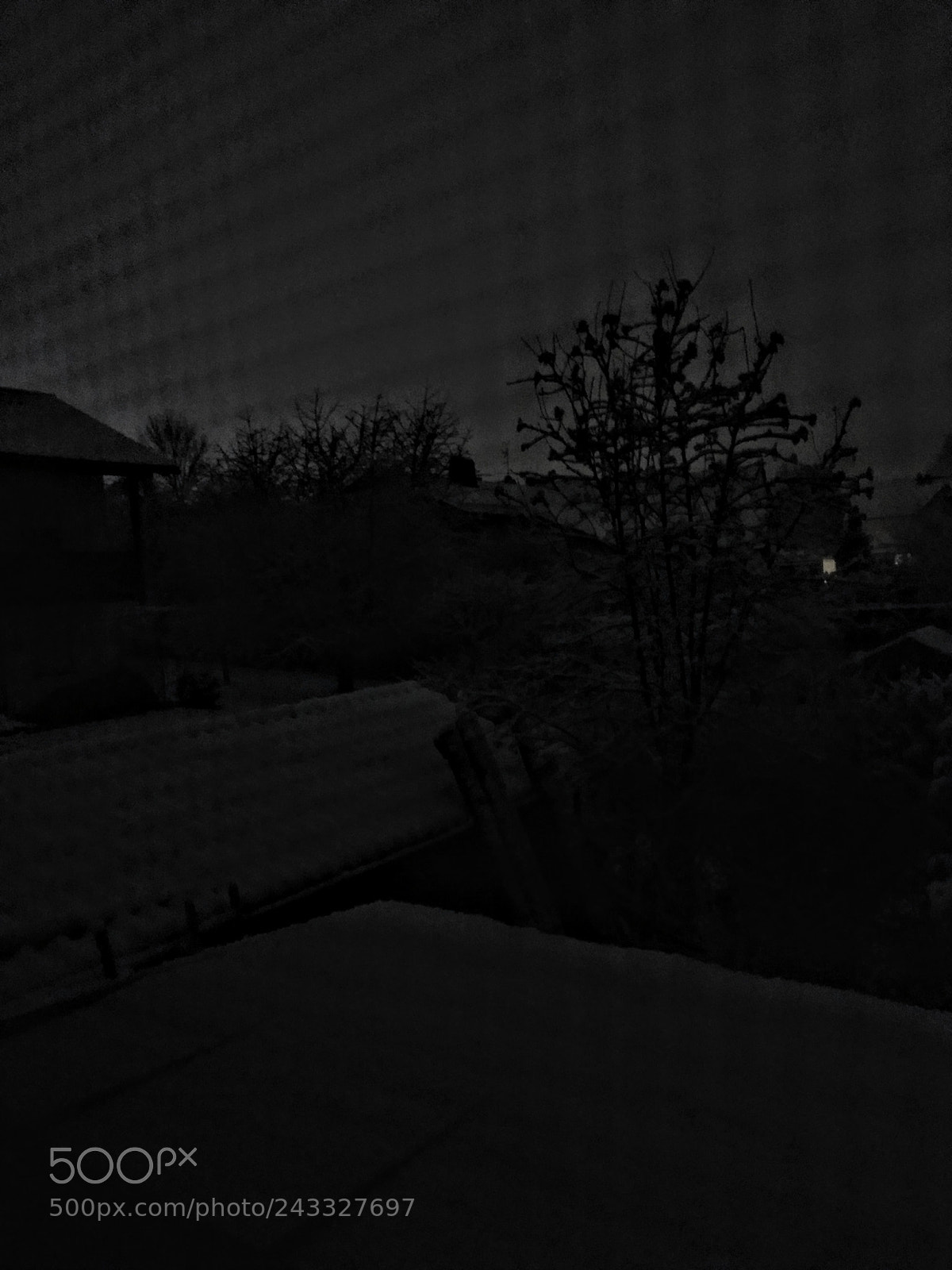 Motorola Moto G (4) sample photo. Untitled photography