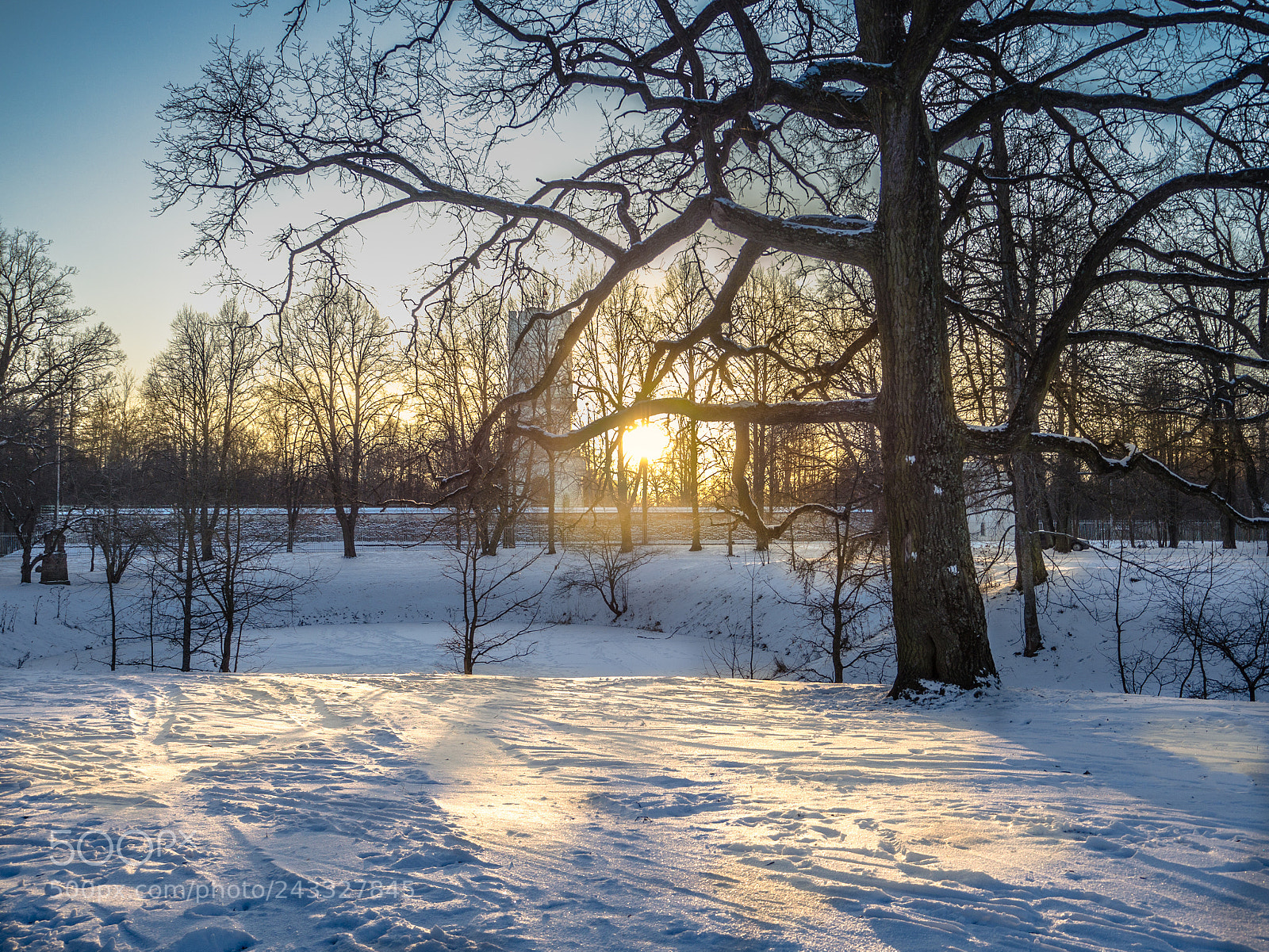 Olympus OM-D E-M10 II sample photo. Frost and the sun photography