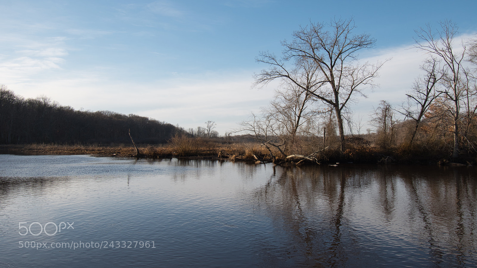 Nikon D5600 sample photo. Waterfront photography