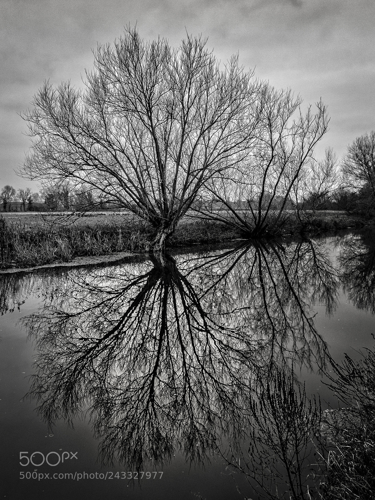 Canon PowerShot G16 sample photo. Winter river photography