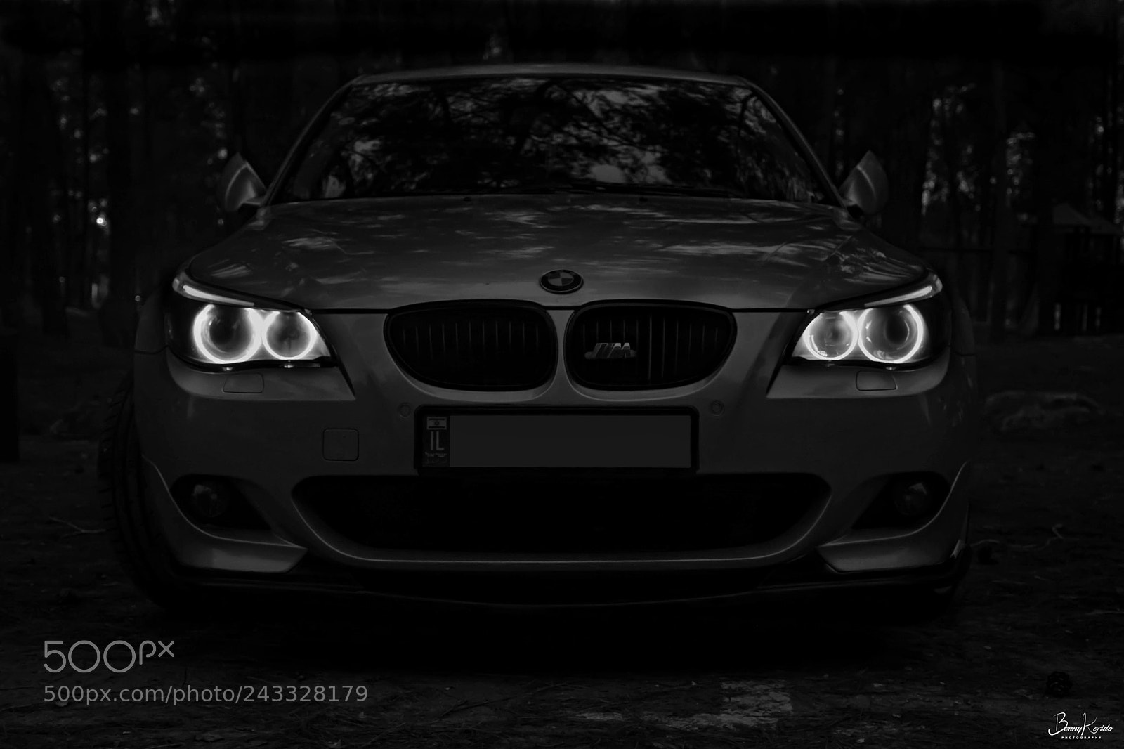 Nikon D7100 sample photo. Beast photography