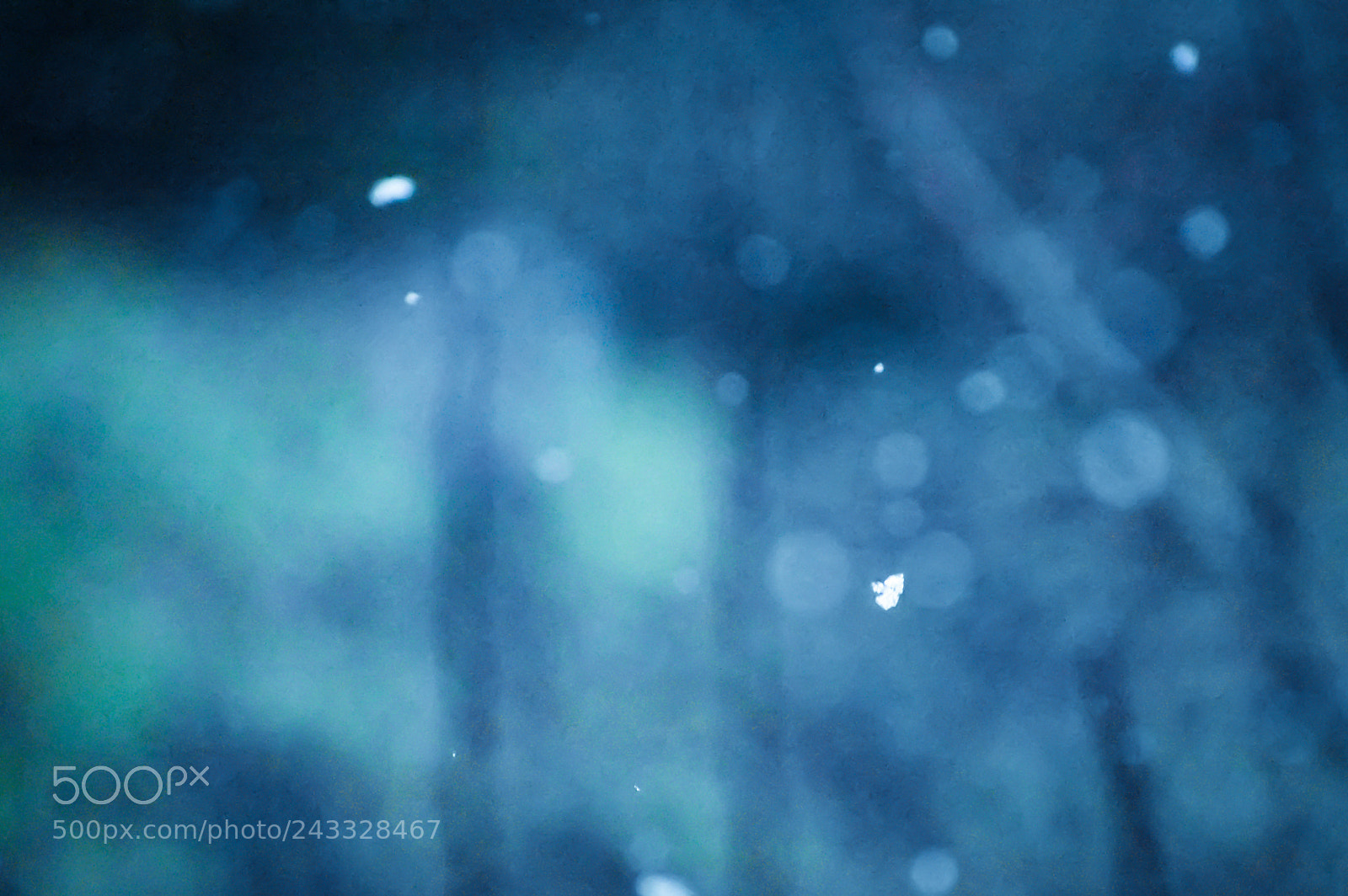 Nikon D3400 sample photo. Single snowflake photography
