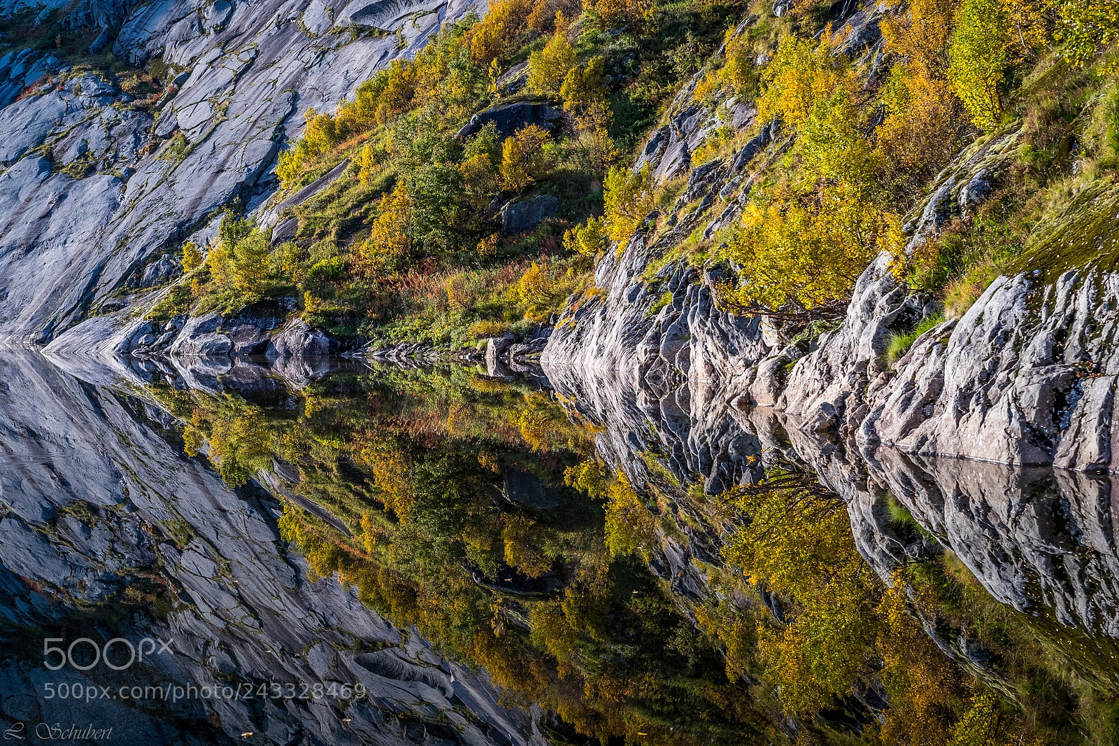 Fujifilm X-T1 sample photo. Perfect reflexion photography