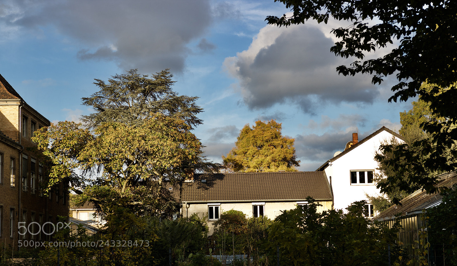 Canon EOS 550D (EOS Rebel T2i / EOS Kiss X4) sample photo. Outside the office photography