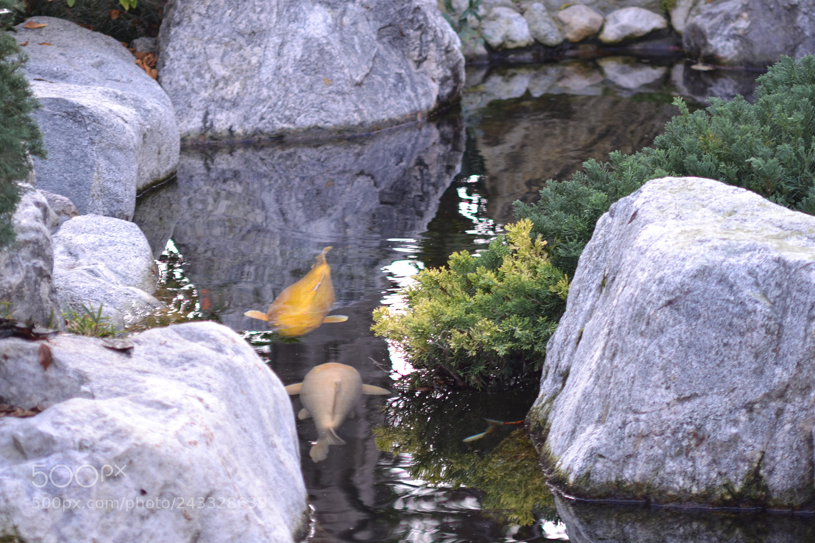 Nikon D3100 sample photo. Narrow path photography