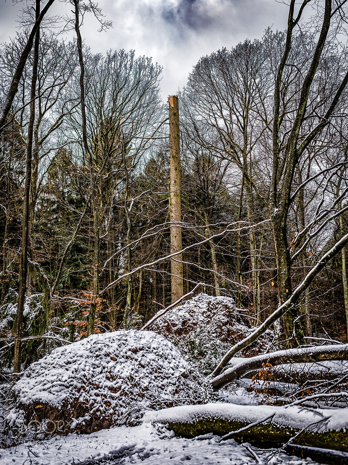 Nikon D810 sample photo. After the storm photography