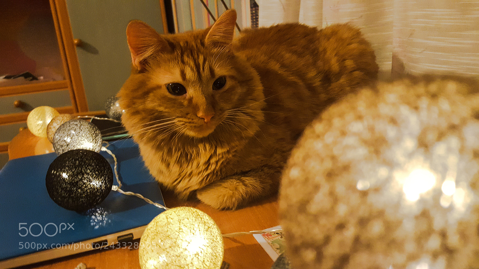 Samsung GALAXY S6 edge sample photo. Lights photography