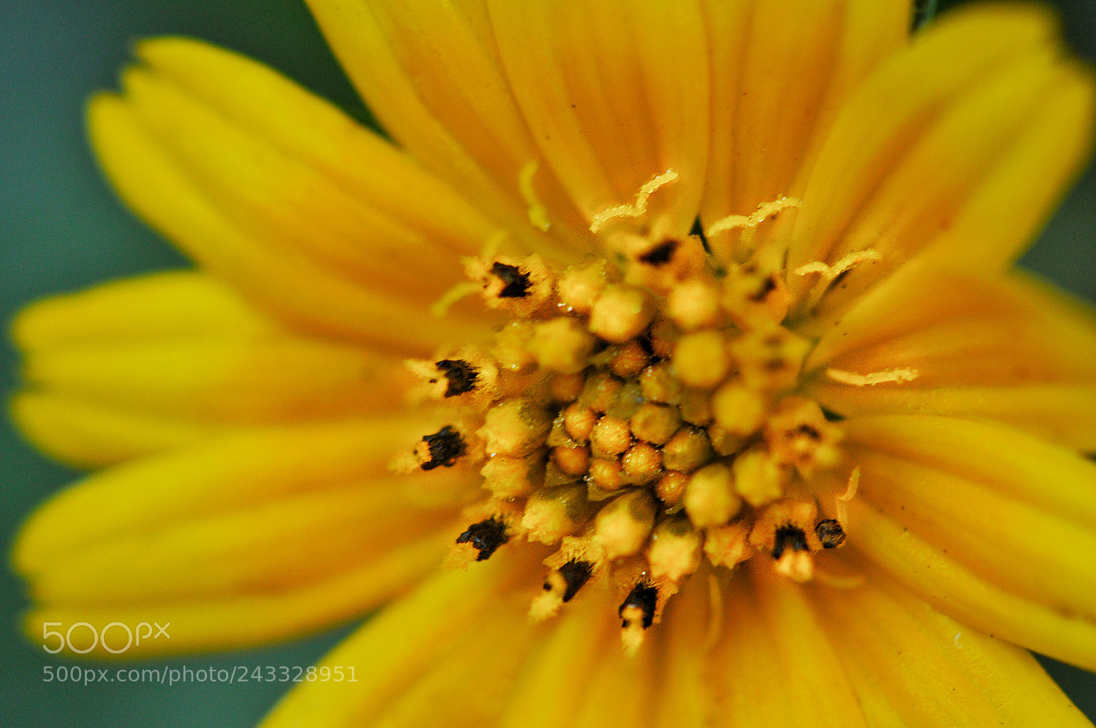 Nikon D300S sample photo. Memoir photography