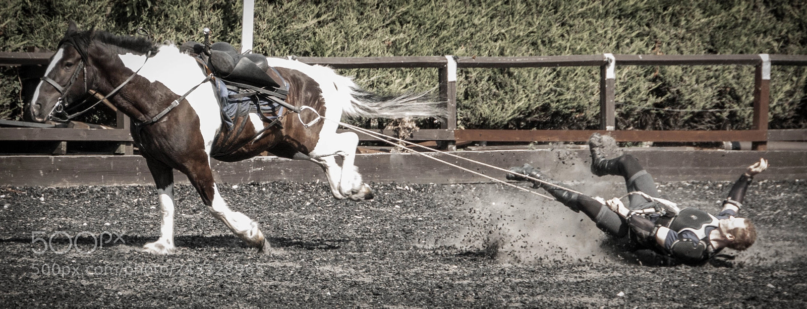 Canon EOS 70D sample photo. Atkinson action horses photography