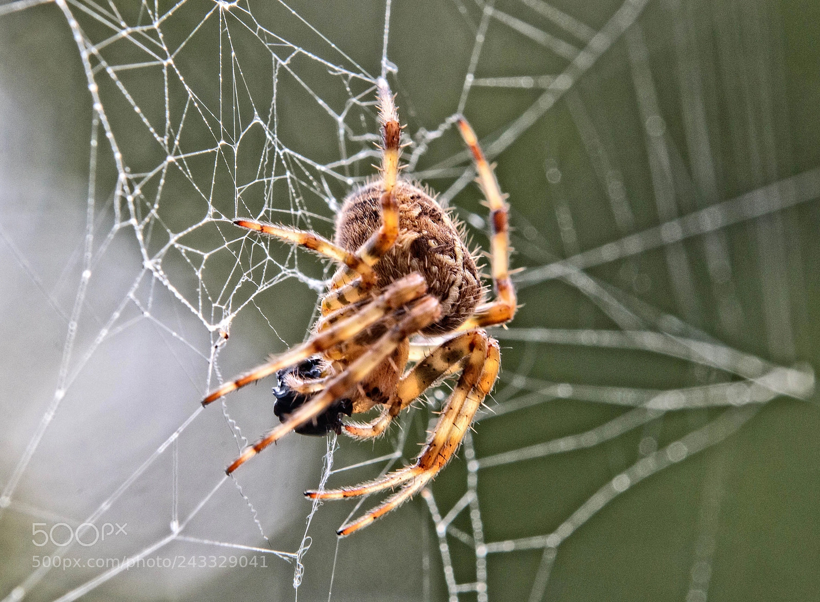 Canon EOS 70D sample photo. Lunch time photography