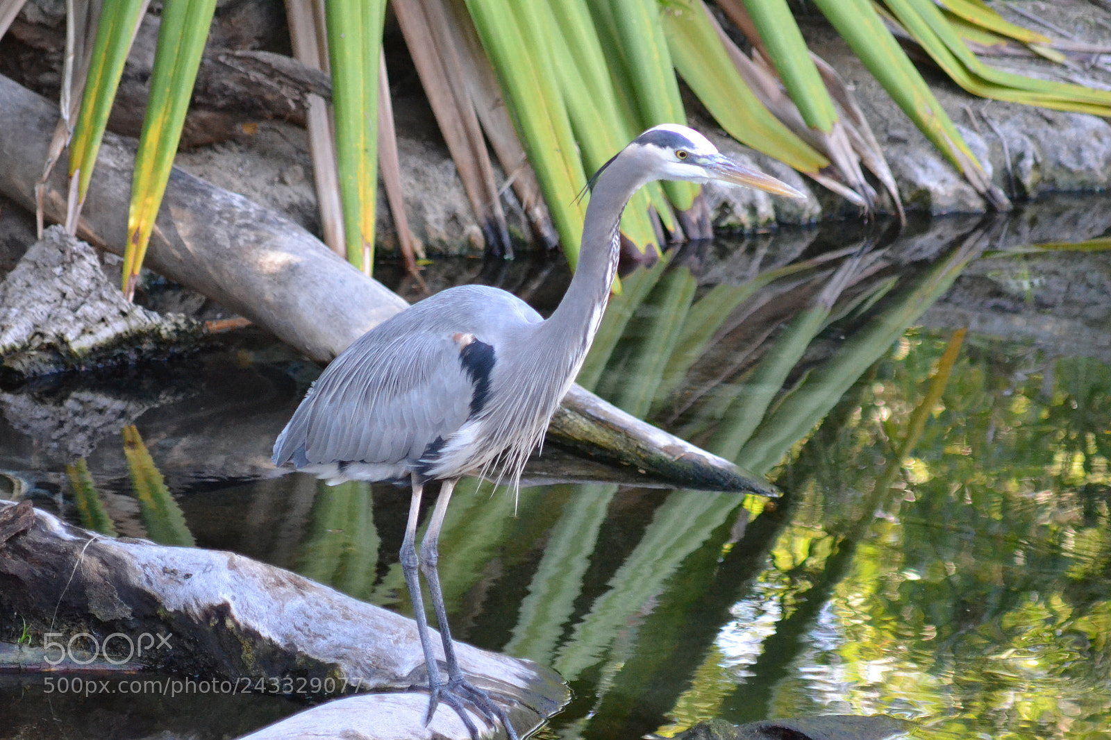 Nikon D3100 sample photo. Untitled photography