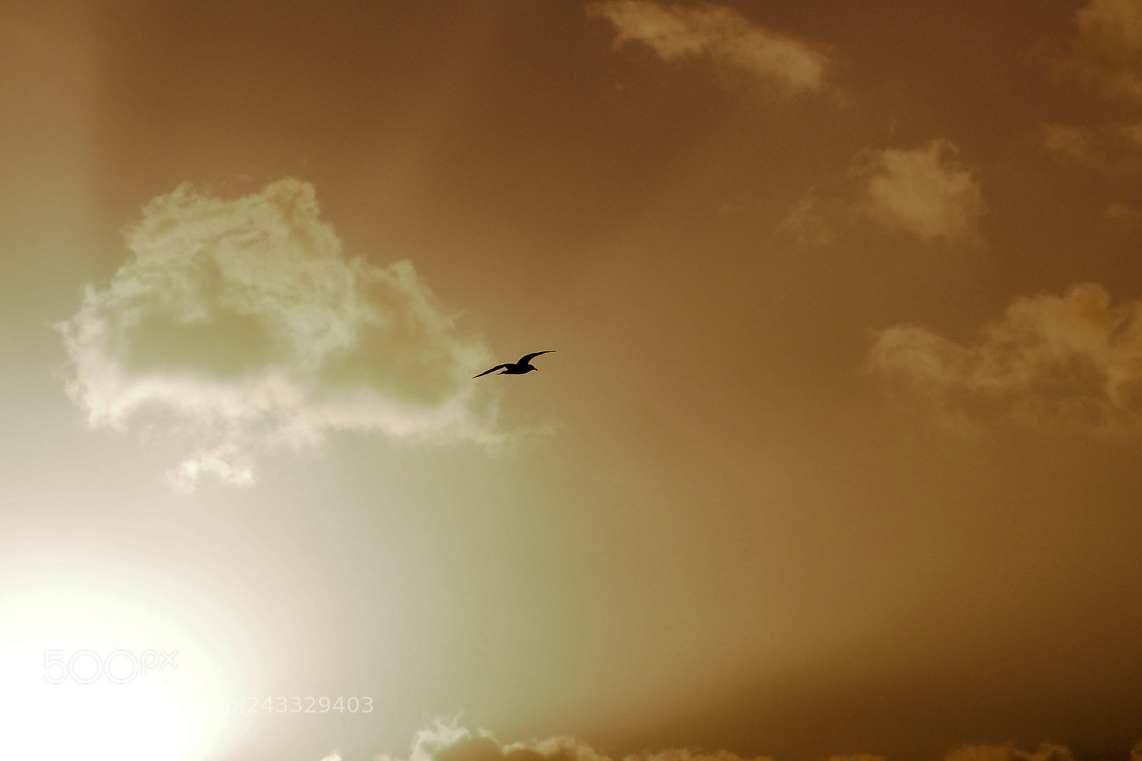 Olympus OM-D E-M5 sample photo. Another level photography