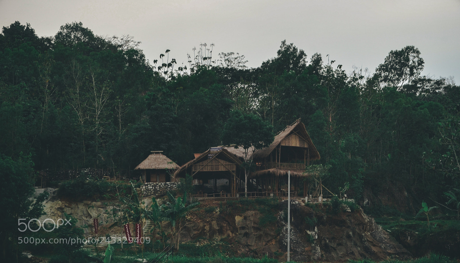 Nikon D3100 sample photo. Home photography