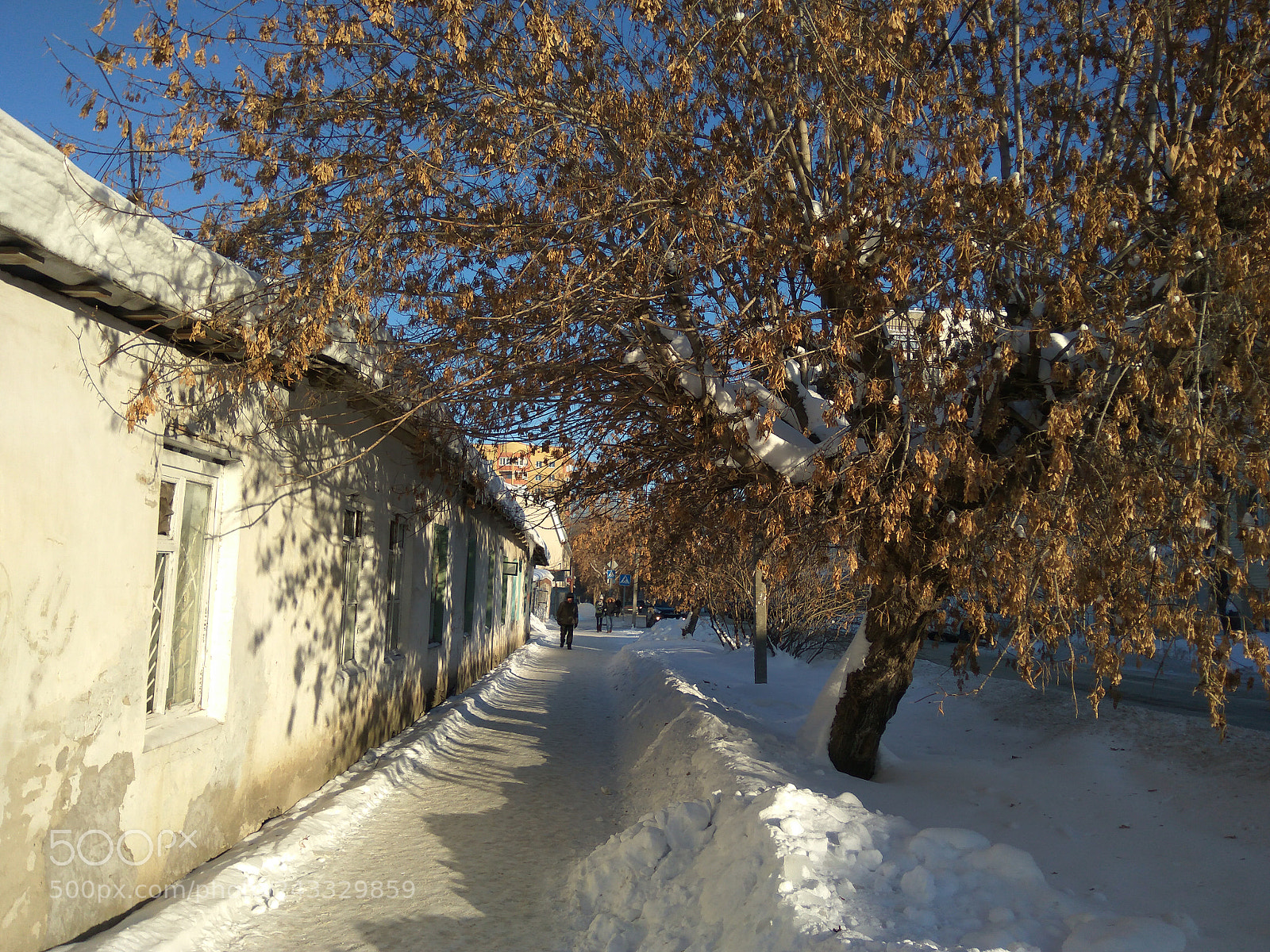 Xiaomi Redmi Note3 sample photo. Img_20170118_130926.jpg photography