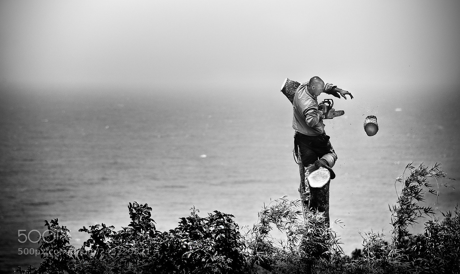 Nikon D610 sample photo. Chop from the top photography