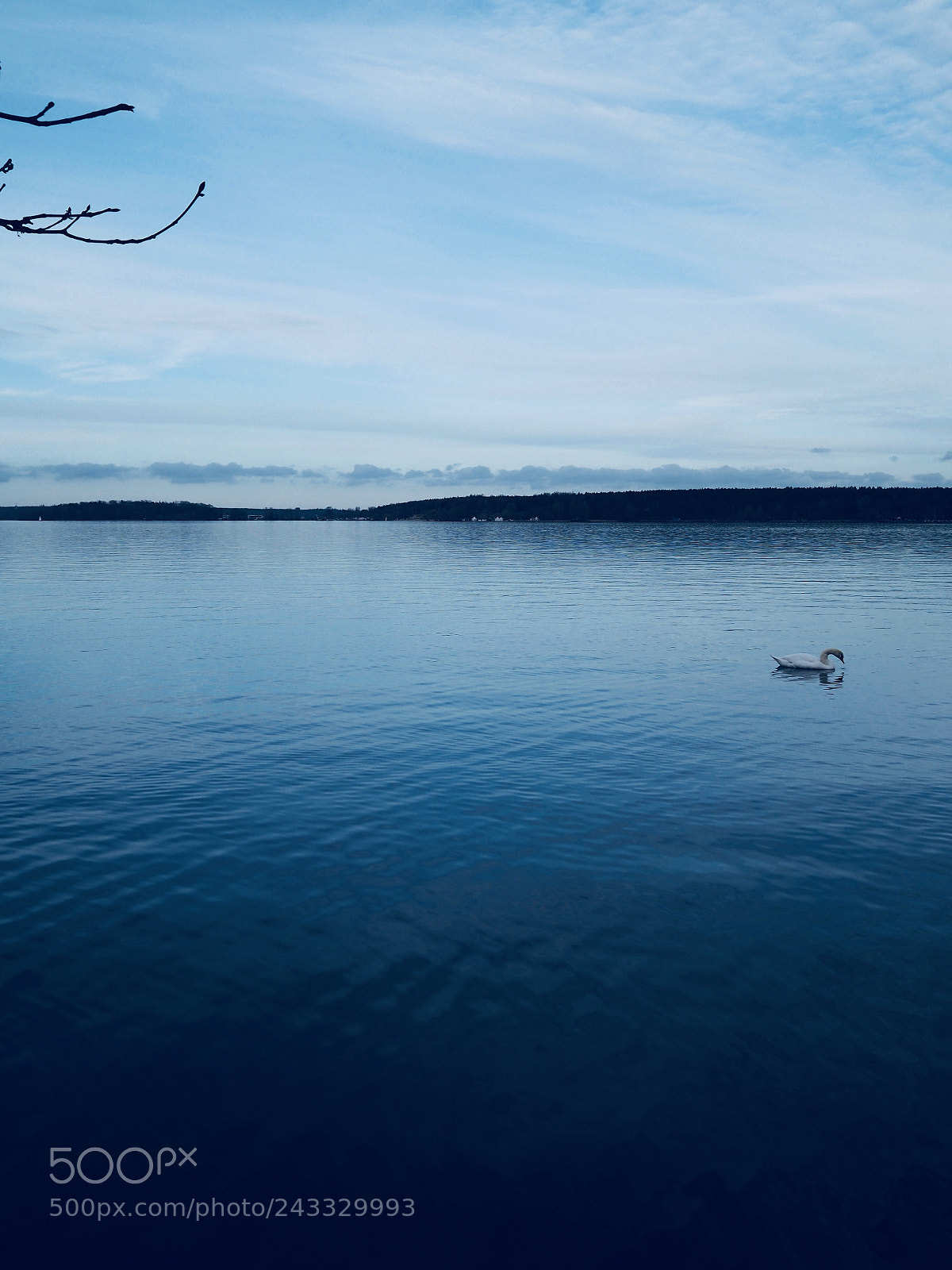 Olympus PEN-F sample photo. Calm photography