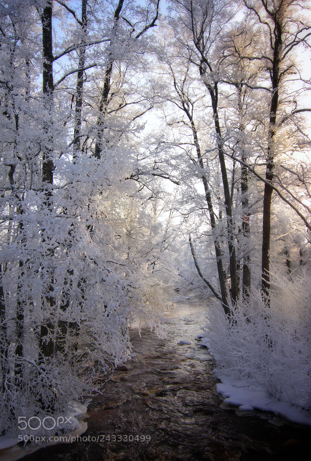 Canon EOS 50D sample photo. Winter landscape photography