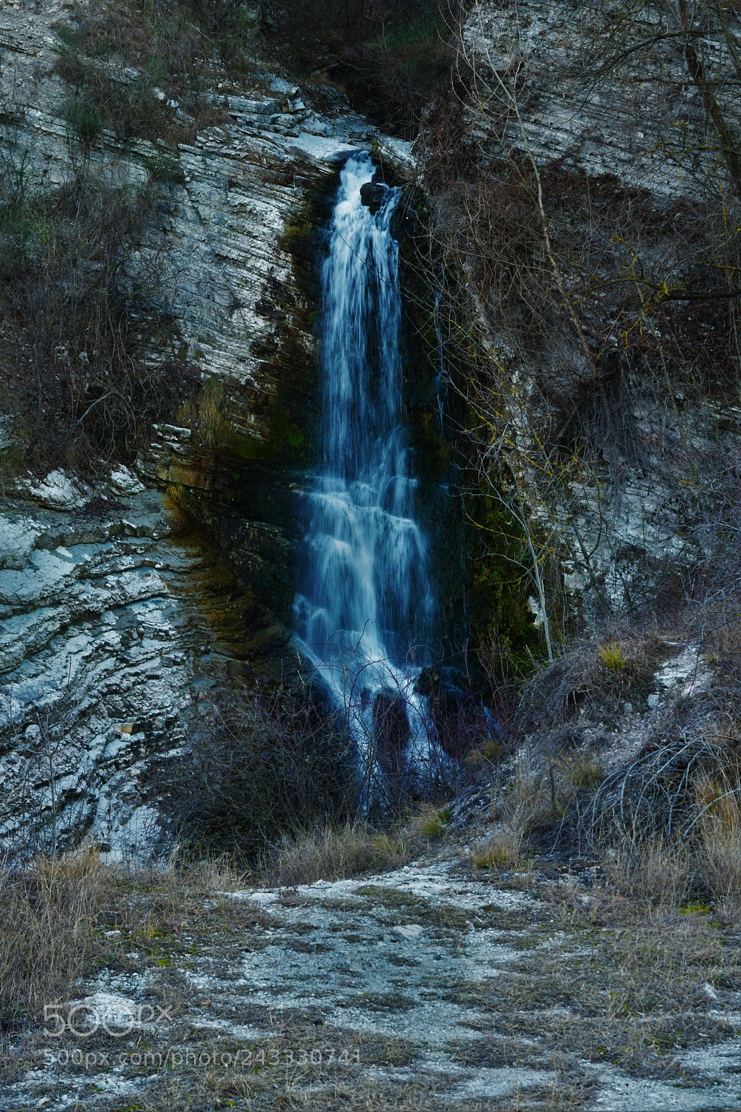Nikon D5500 sample photo. Oasi di baggero photography