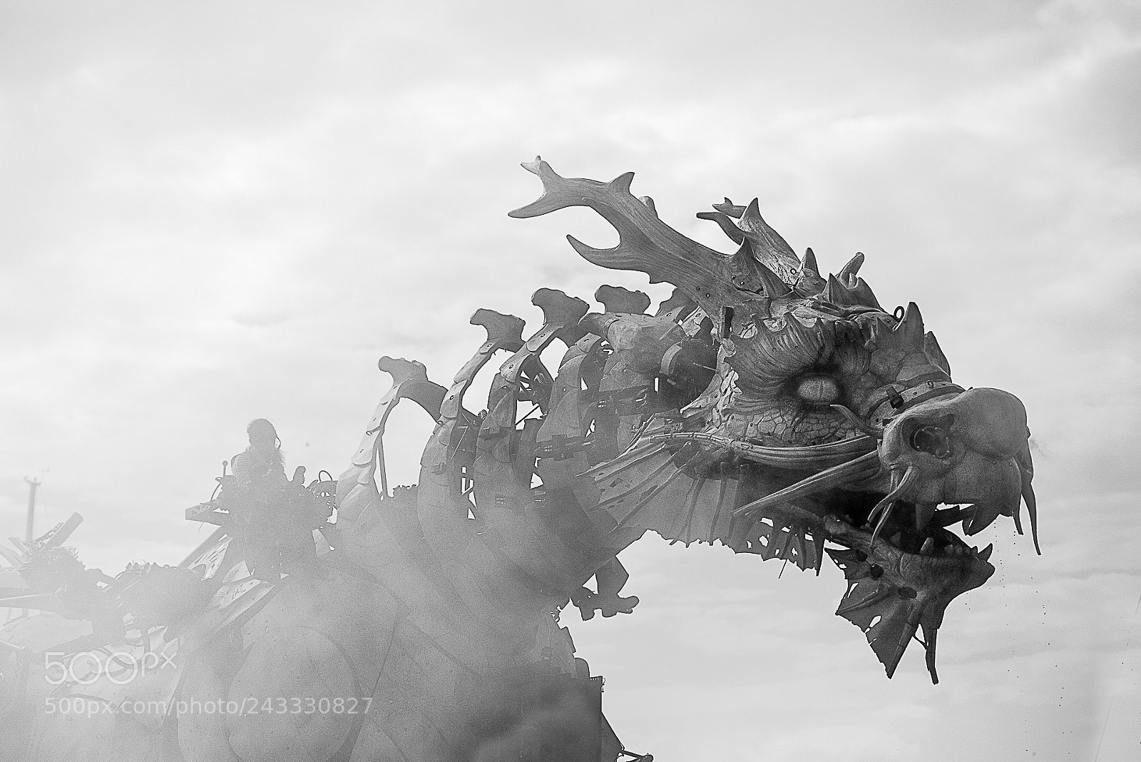 Nikon D810 sample photo. Dragon photography