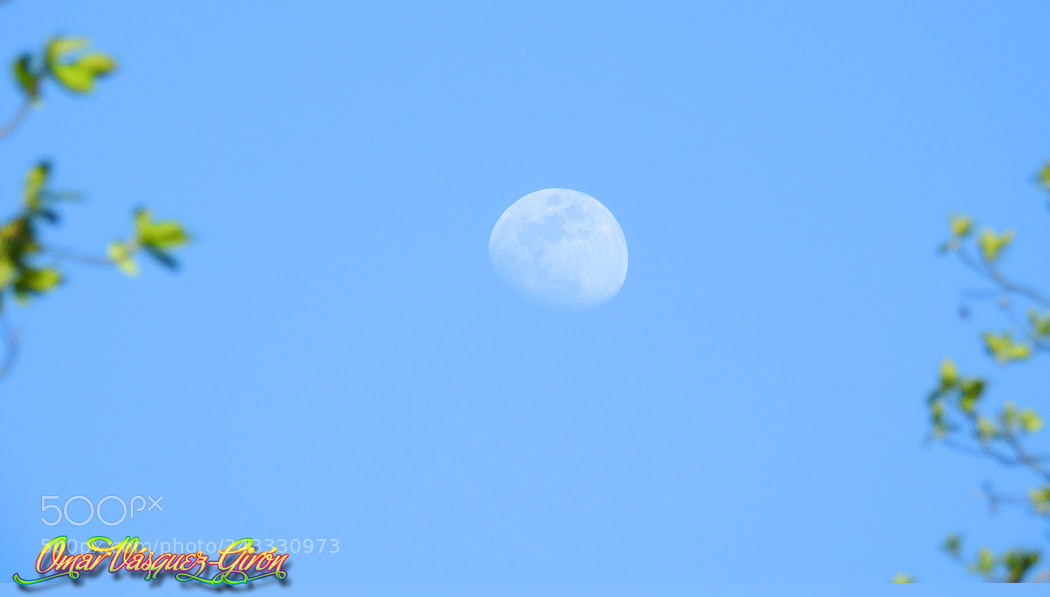 Nikon Coolpix P900 sample photo. Ovg photography