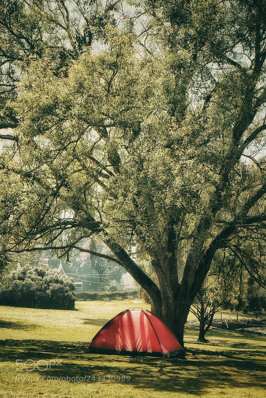 Fujifilm X-E2S sample photo. Ooty botanical garden photography
