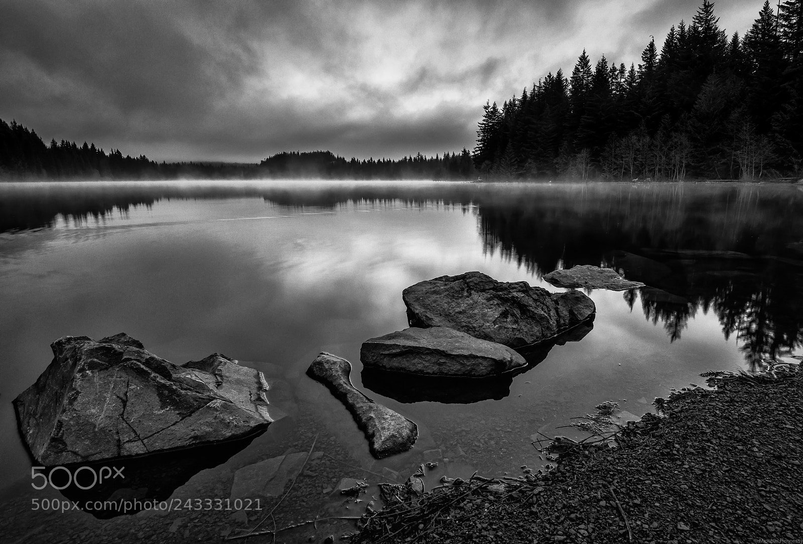Nikon D800 sample photo. Morning mist photography
