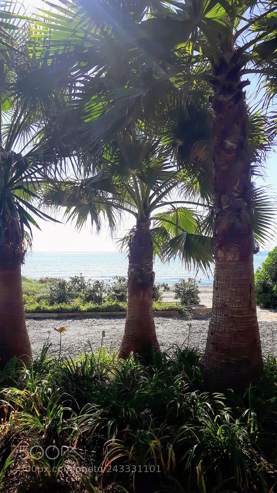 Samsung Galaxy S5 Neo sample photo. Costa mediterránea photography