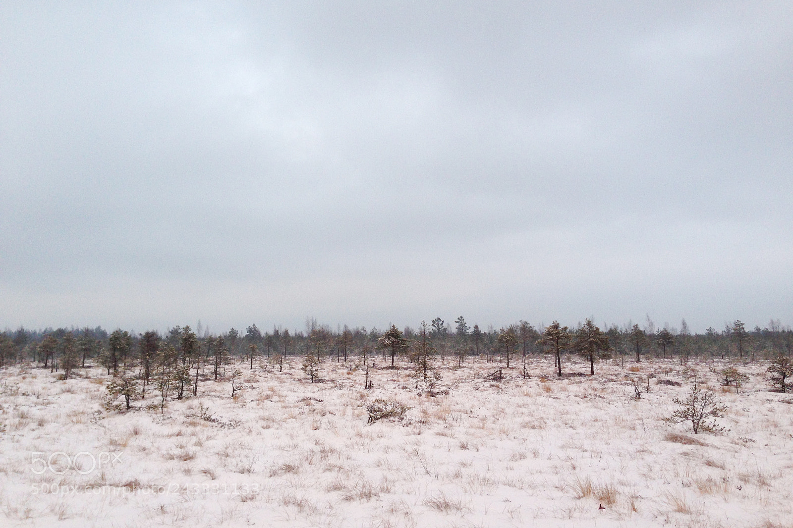 Apple iPhone 5 sample photo. Raba ii photography