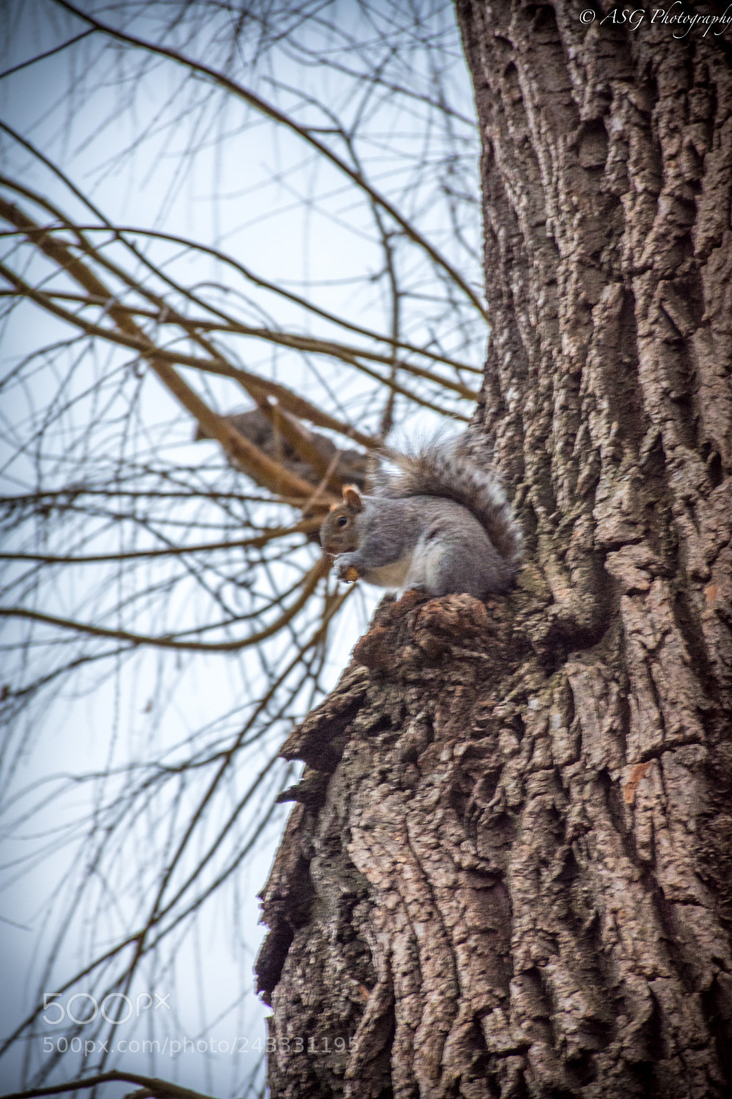Nikon D7200 sample photo. Don't disturb me let photography
