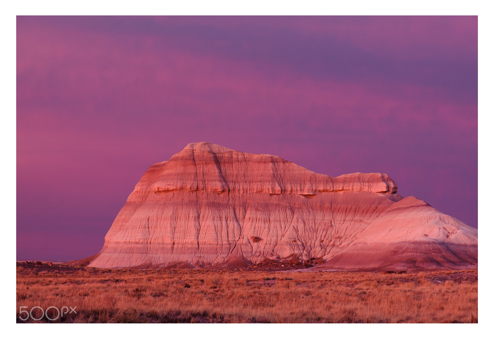 Fujifilm X-T2 sample photo. Petrified forest national park photography