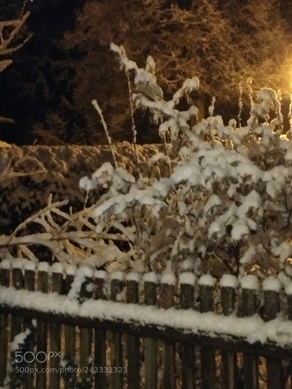 Motorola Moto G (4) sample photo. Snow ii photography