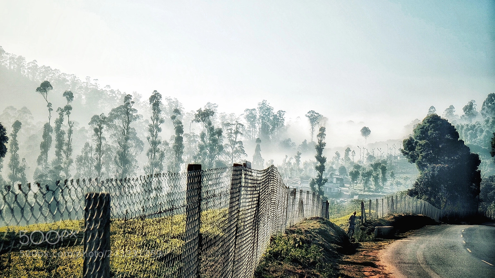 Fujifilm X-E2S sample photo. Welcome to ooty, nice photography