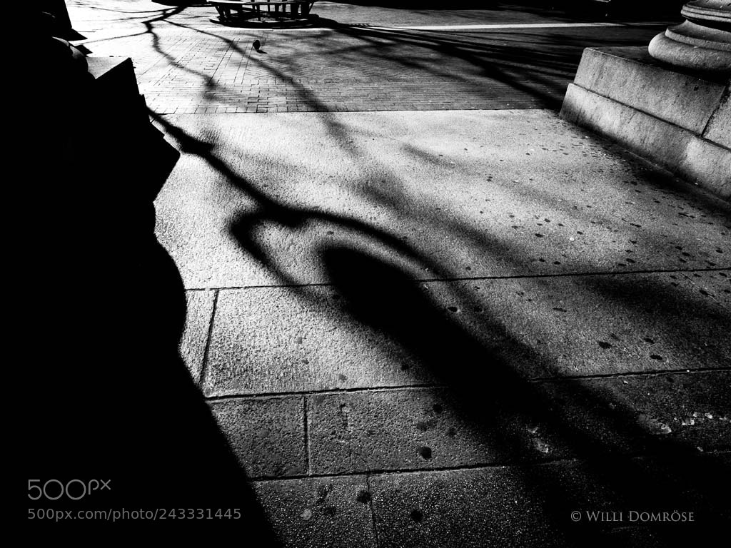 Olympus OM-D E-M1 Mark II sample photo. Long shadows photography